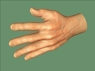 3d hand model rigged and low polygon