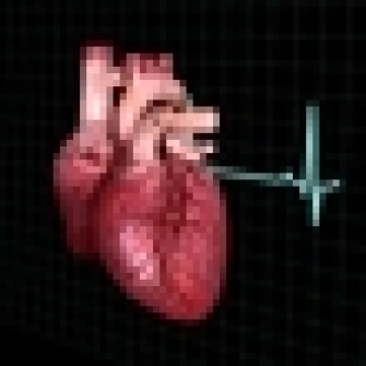 human_heart_animated-3d-model-37026-810012