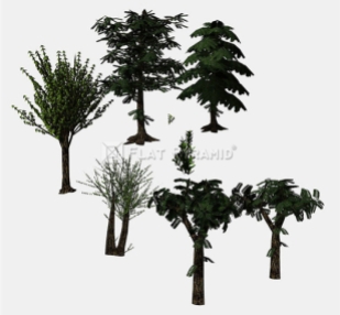 tree_collection-3d-model-36520-805587